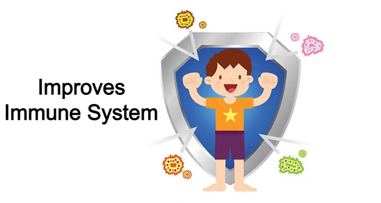 Improves Immune System