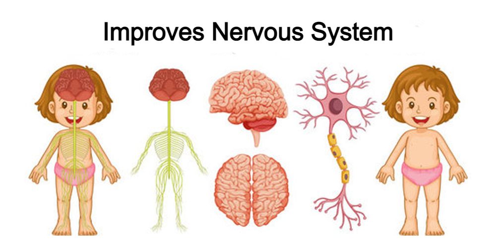 Improves Nervous System