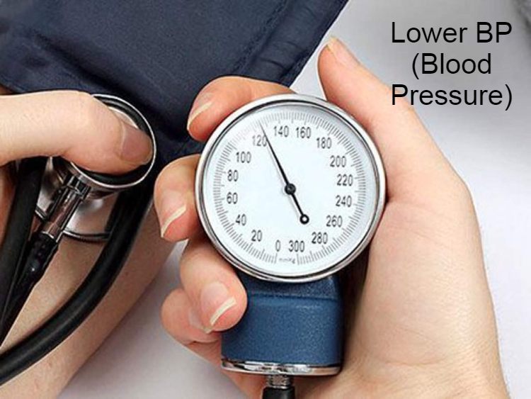 Lower BP (Blood Pressure)